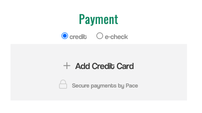 Reg-payments-4